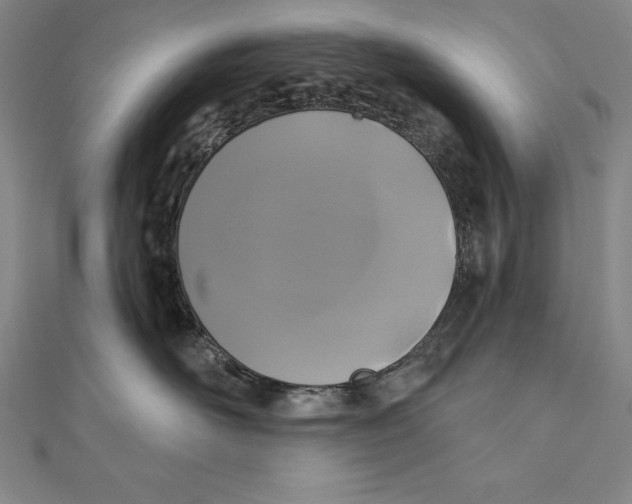 X0000111000526200907101455