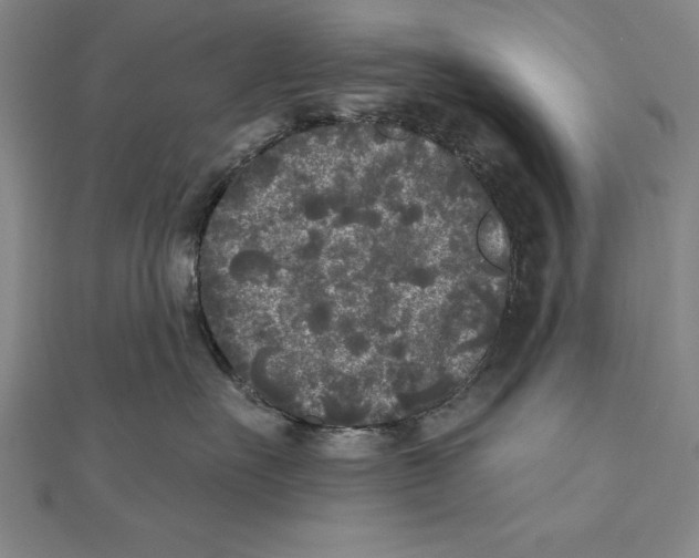 X0000111000527200907101455