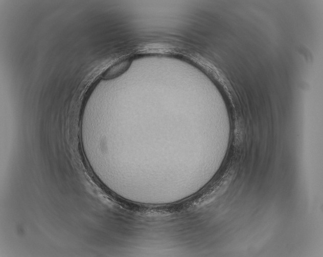 X0000111000529200907101454