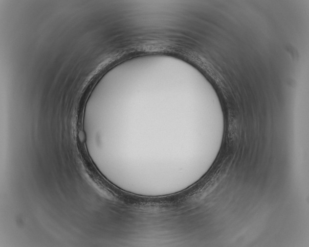 X0000111000530200907101454