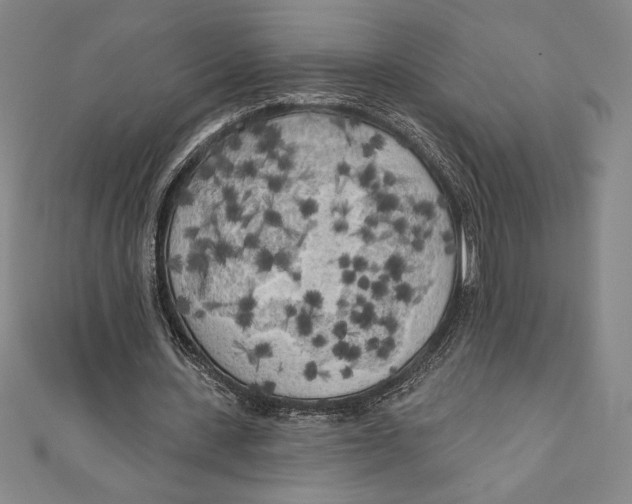 X0000111000531200907101454