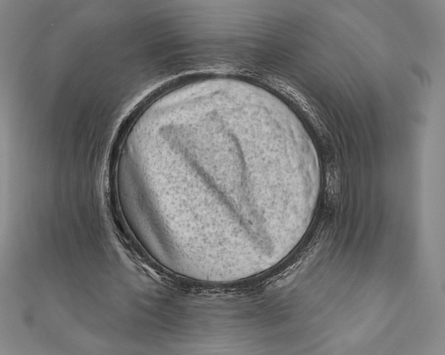 X0000111000532200907101454