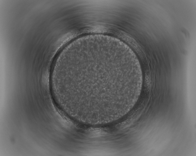 X0000111000534200907101454