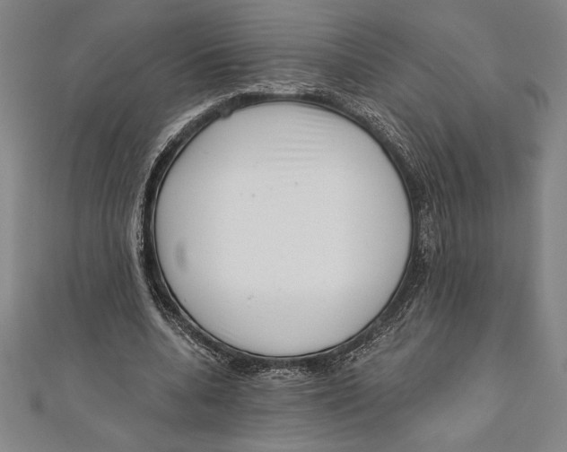 X0000111000536200907101454