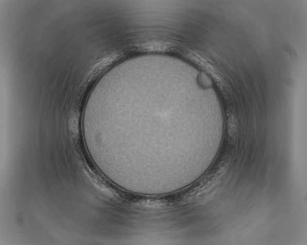 X0000111000537200907101454