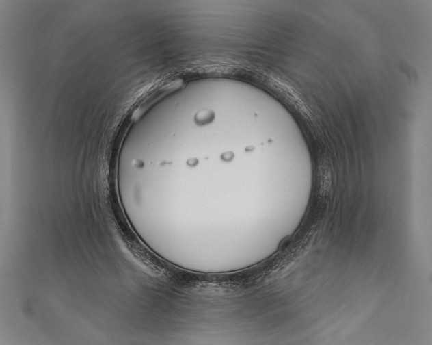 X0000111000538200907101454