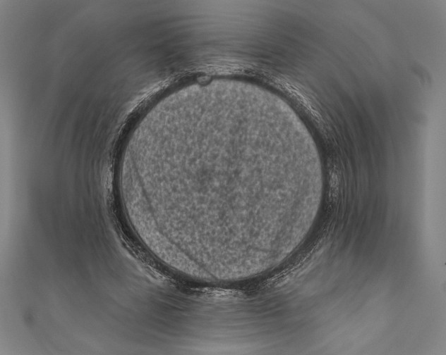 X0000111000539200907101454