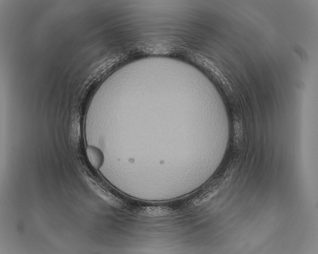 X0000111000541200907101454