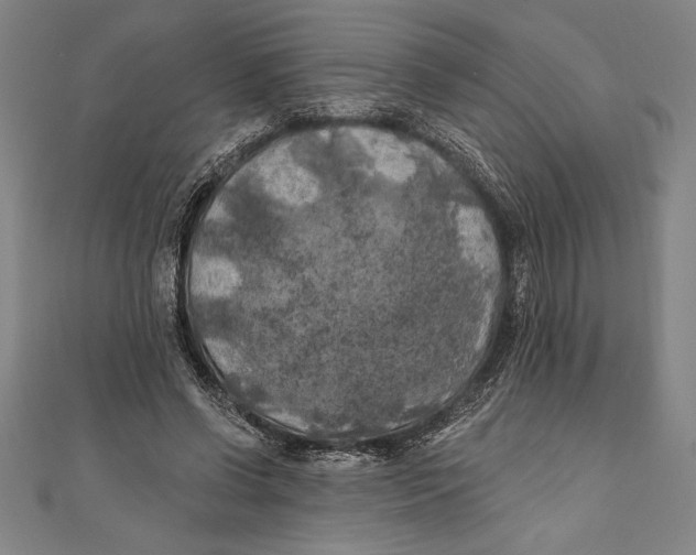 X0000111000542200907101454