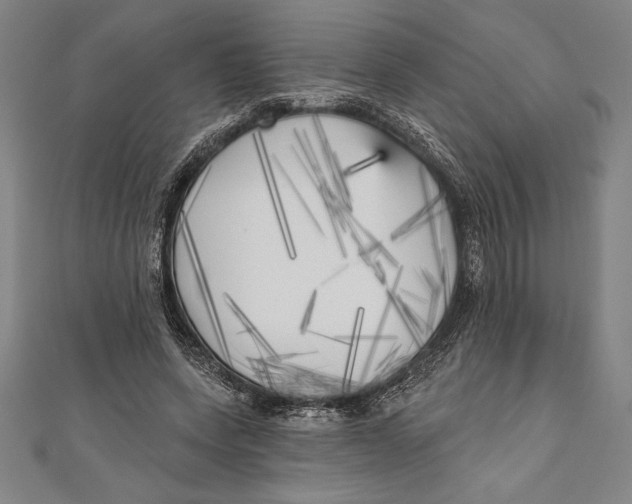 X0000111000543200907101454