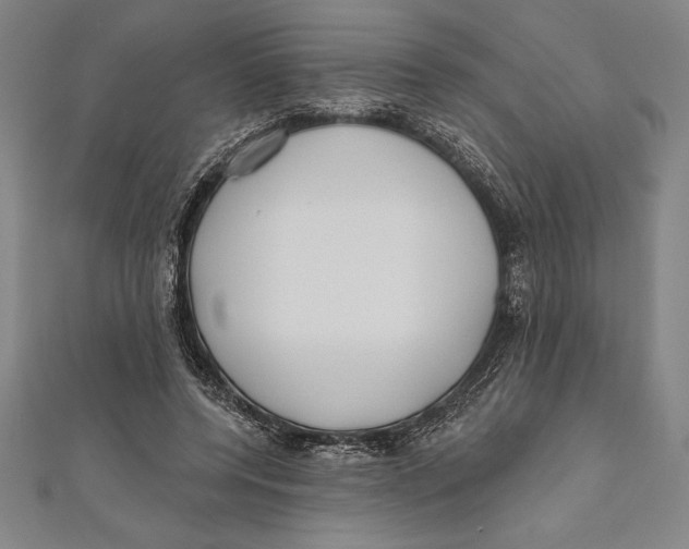 X0000111000544200907101454