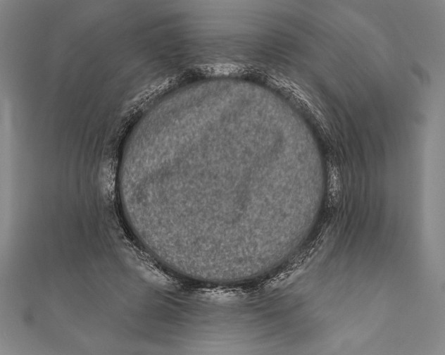 X0000111000545200907101454