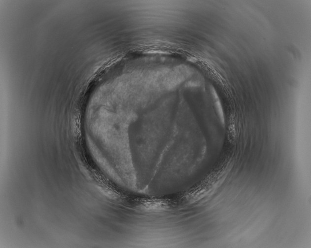 X0000111000547200907101454