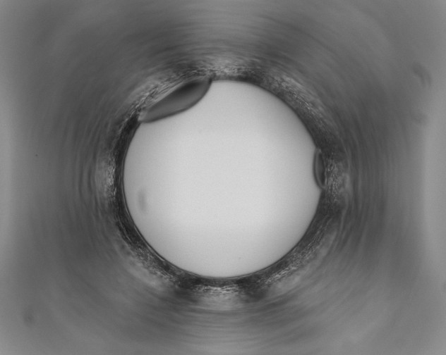 X0000111000548200907101454