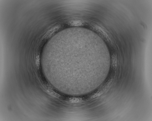 X0000111000549200907101454