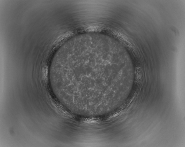 X0000111000550200907101454