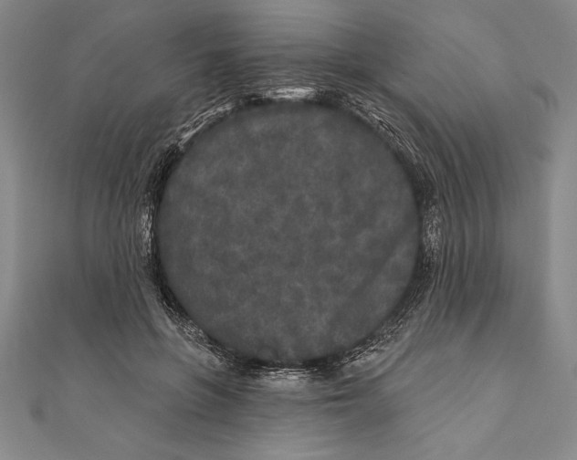 X0000111000551200907101454