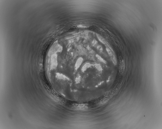 X0000111000553200907101454