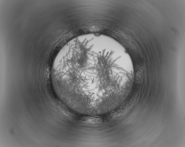 X0000111000555200907101454