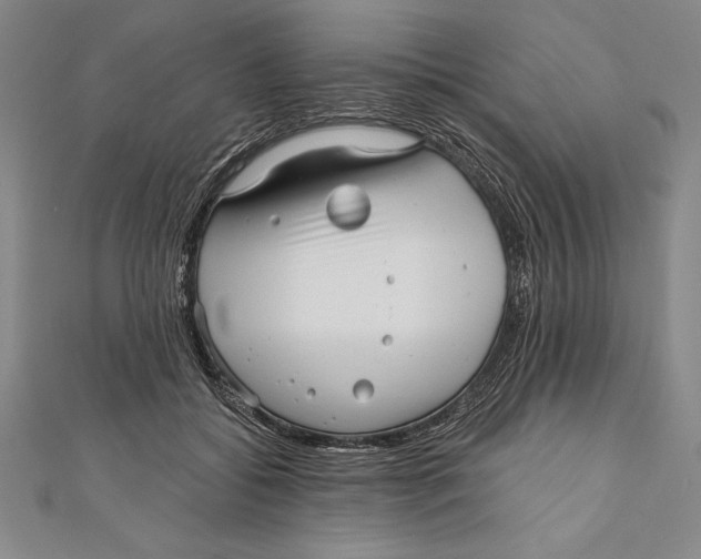 X0000111000556200907101454