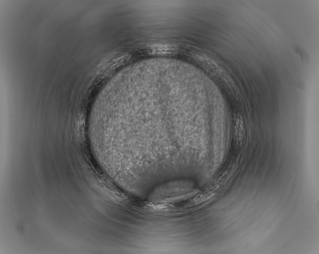 X0000111000557200907101454