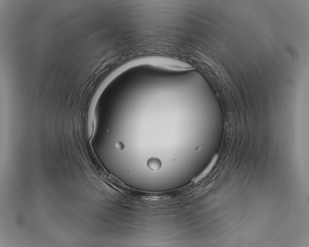 X0000111000558200907101454