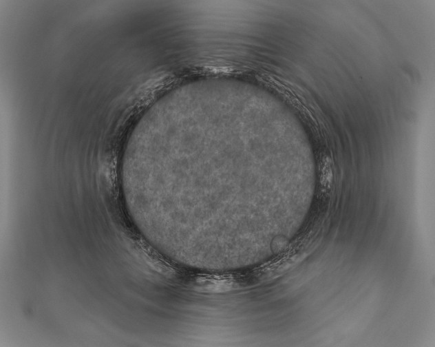 X0000111000559200907101454