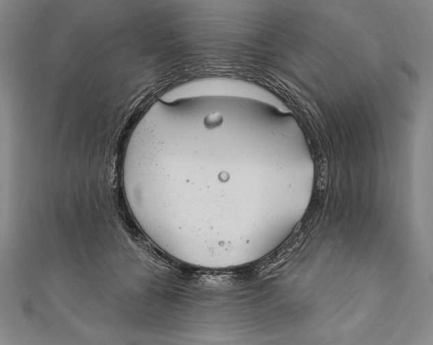 X0000111000560200907101454