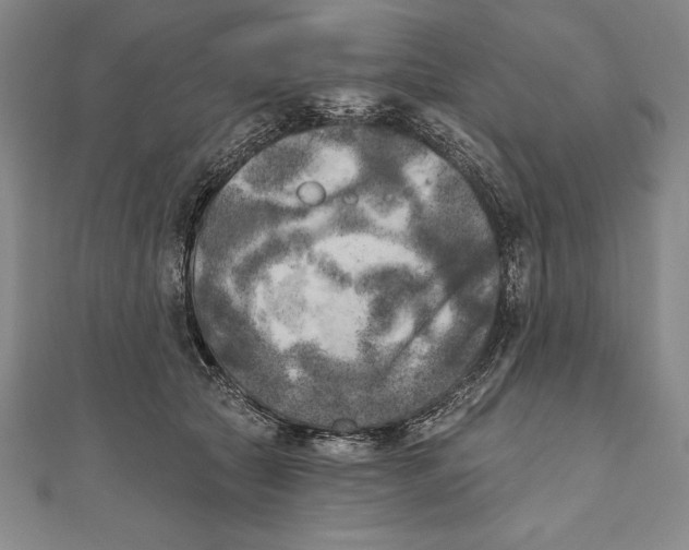 X0000111000561200907101454