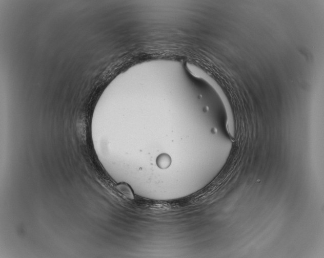 X0000111000562200907101454