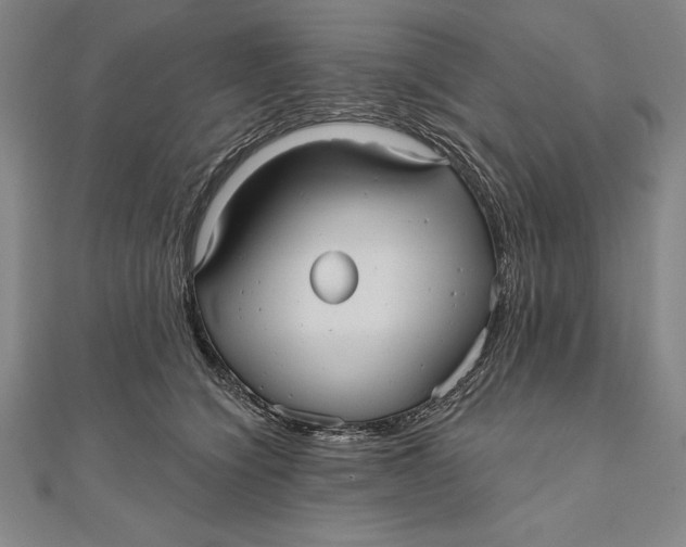 X0000111000564200907101454