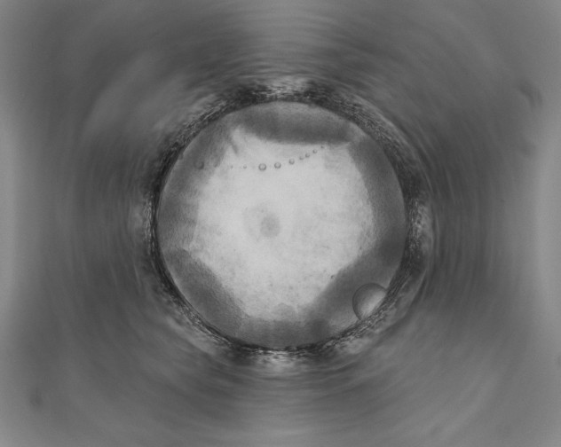 X0000111000565200907101454