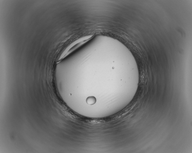 X0000111000566200907101454