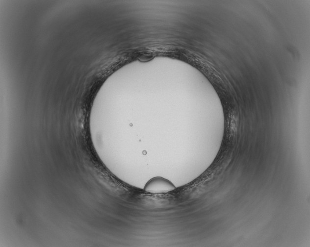 X0000111000567200907101455