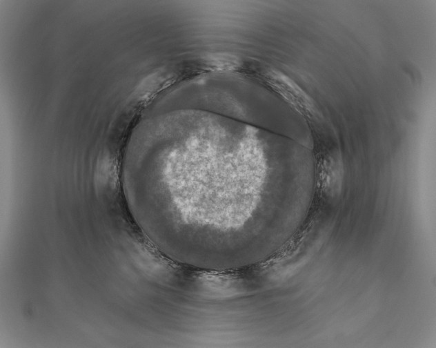 X0000111000568200907101455