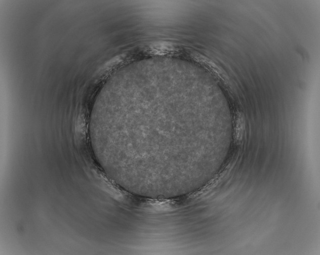 X0000111000569200907101455