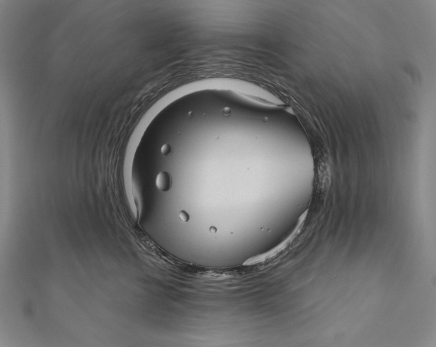 X0000111000570200907101455