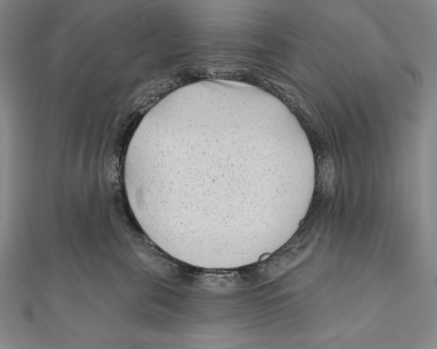 X0000111000571200907101455