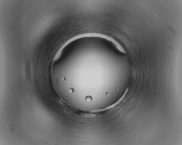 X0000111000572200907101455