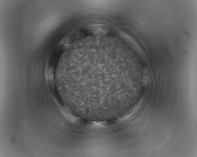 X0000111000573200907101455