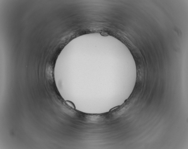 X0000111000575200907101455