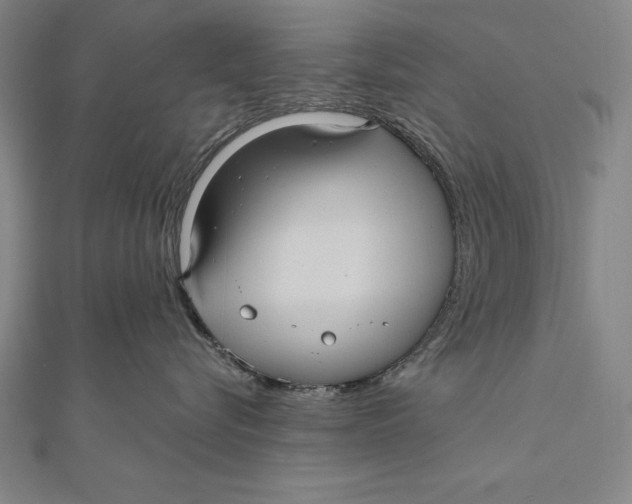 X0000111000576200907101455