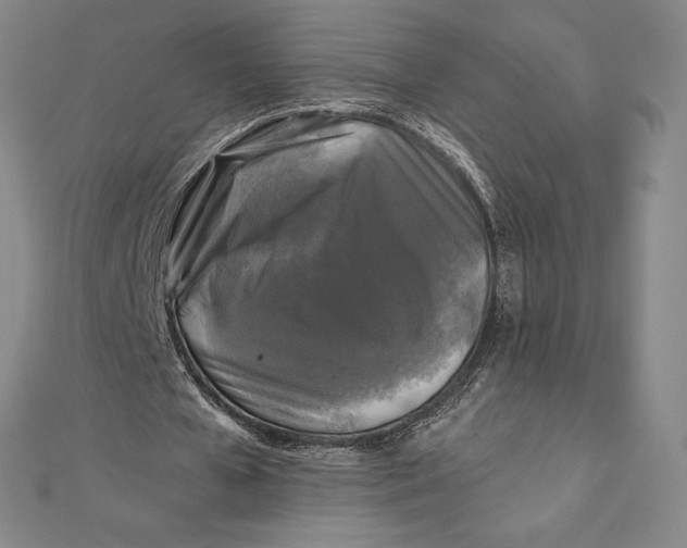 X0000111000577200907101454