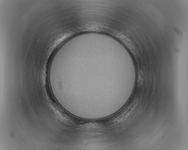 X0000111000578200907101454