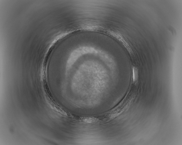 X0000111000579200907101454