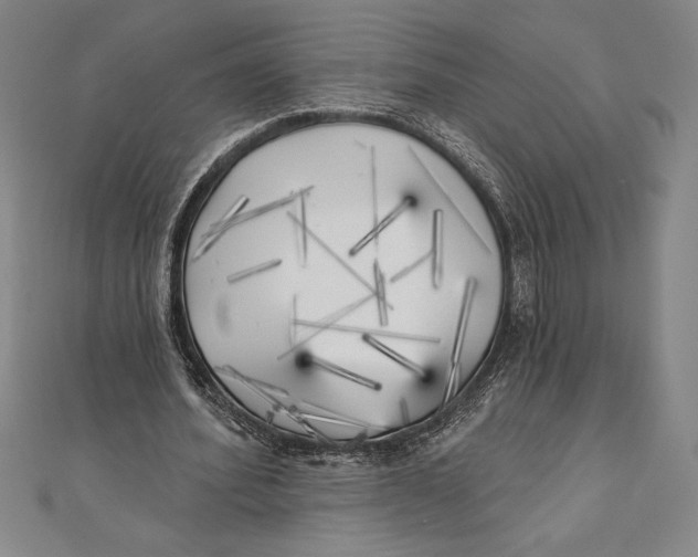 X0000111000580200907101454