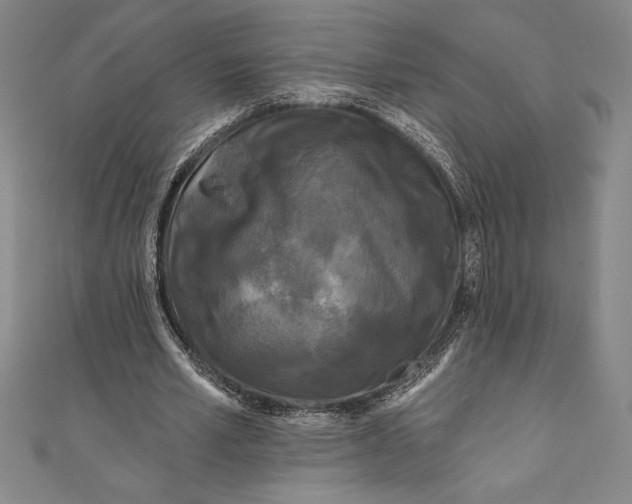 X0000111000581200907101454