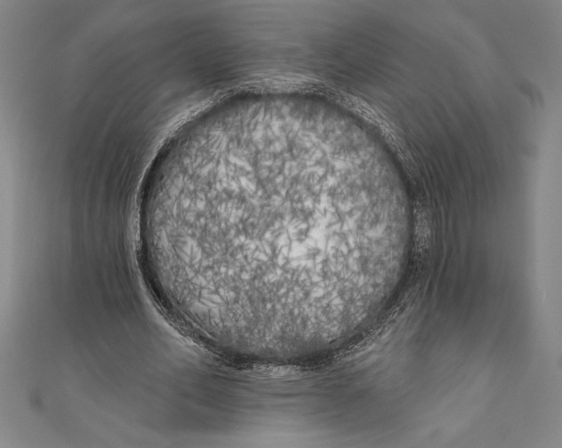 X0000111000582200907101454