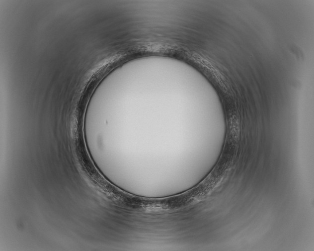 X0000111000587200907101454