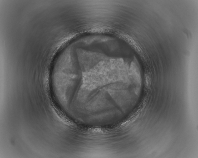 X0000111000588200907101454